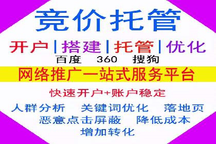 百度SEM代运营案例揭秘，如何实现ROI最大化